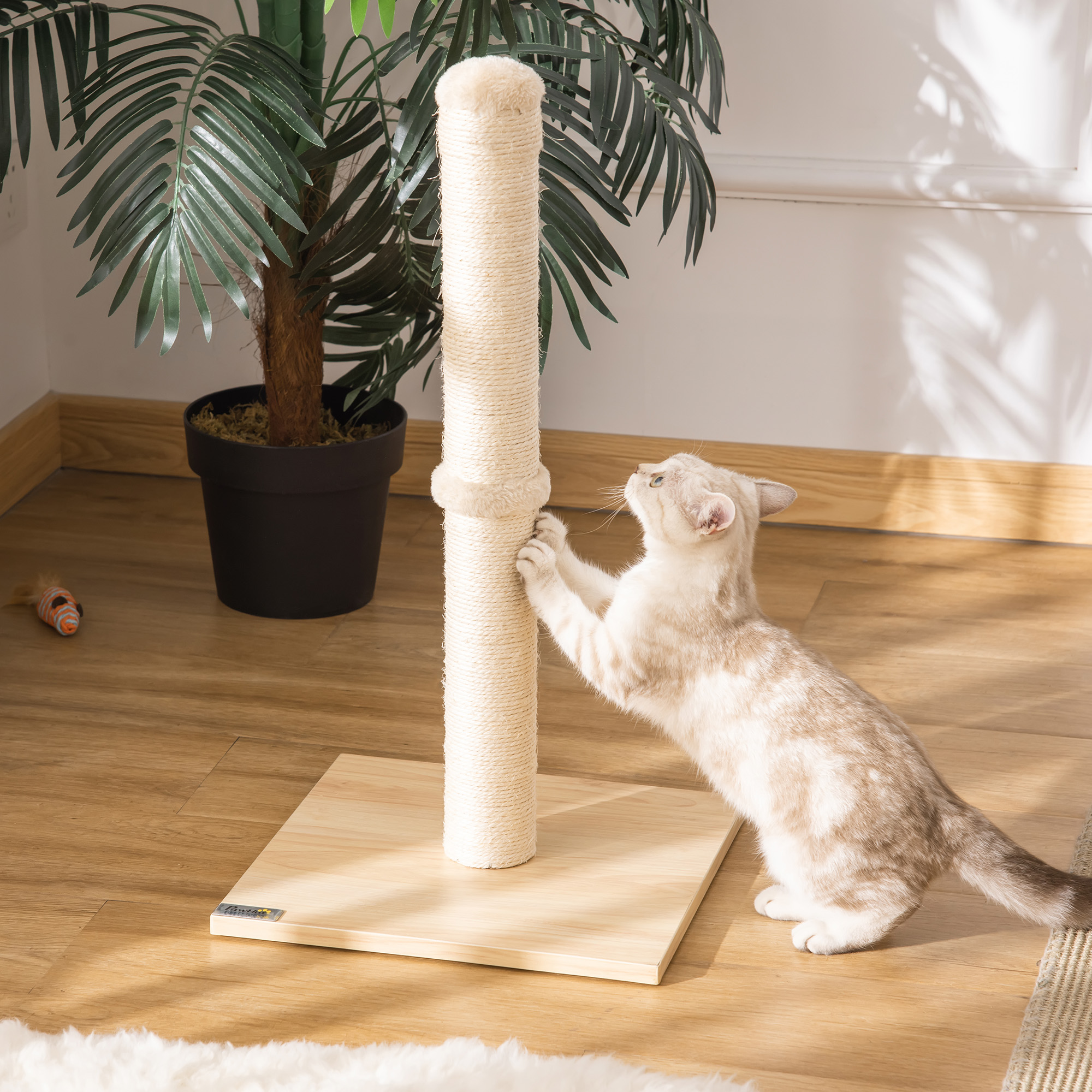 Kratzstamm für Katzen Kratzsäule aus Sisal stabiler Kratzbaum Kratz Spielzeug Katze mit Ball 60 cm Spanplatte Sisal Beige+Eiche 34 x 34 x 60 cm