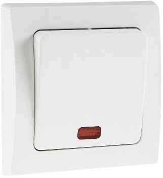 DELPHI Kontroll-Schalter mit Lämpchen, 250V~/ 10A, inkl. Rahmen, UP, weiß