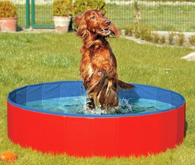 Karlie DOGGY POOL der Swimmingpool für Hunde - Rot-Blau - 160 cm Karlie DOGGY POOL der Swimmingpool für Hunde - Rot-Blau - 160 cm
