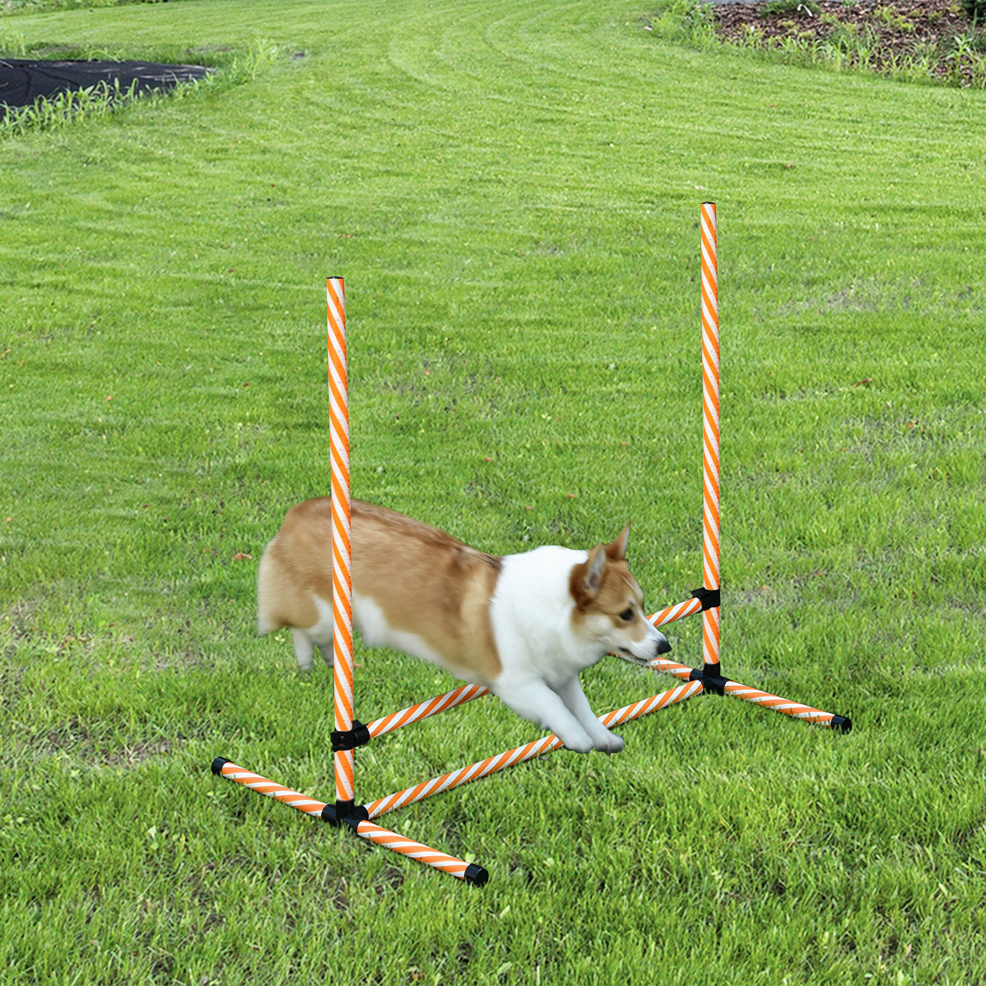 Agility Set Hunde, 6tlg. Agility-Ausrüstungs-Set mit Flechtstangen, Pfeife, Hundetraining Zubehör mit Tragetasche, für Park, Garten, Orange