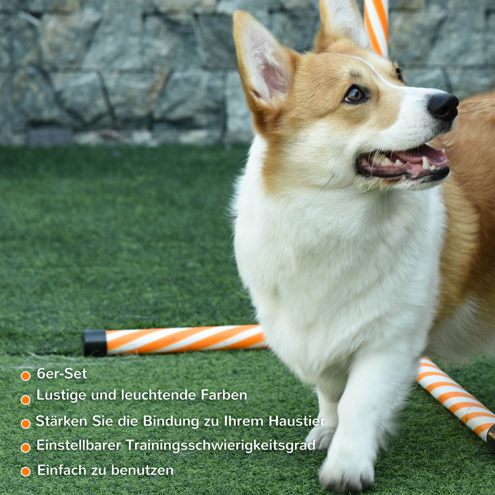 Agility Set Hunde, 6tlg. Agility-Ausrüstungs-Set mit Flechtstangen, Pfeife, Hundetraining Zubehör mit Tragetasche, für Park, Garten, Orange
