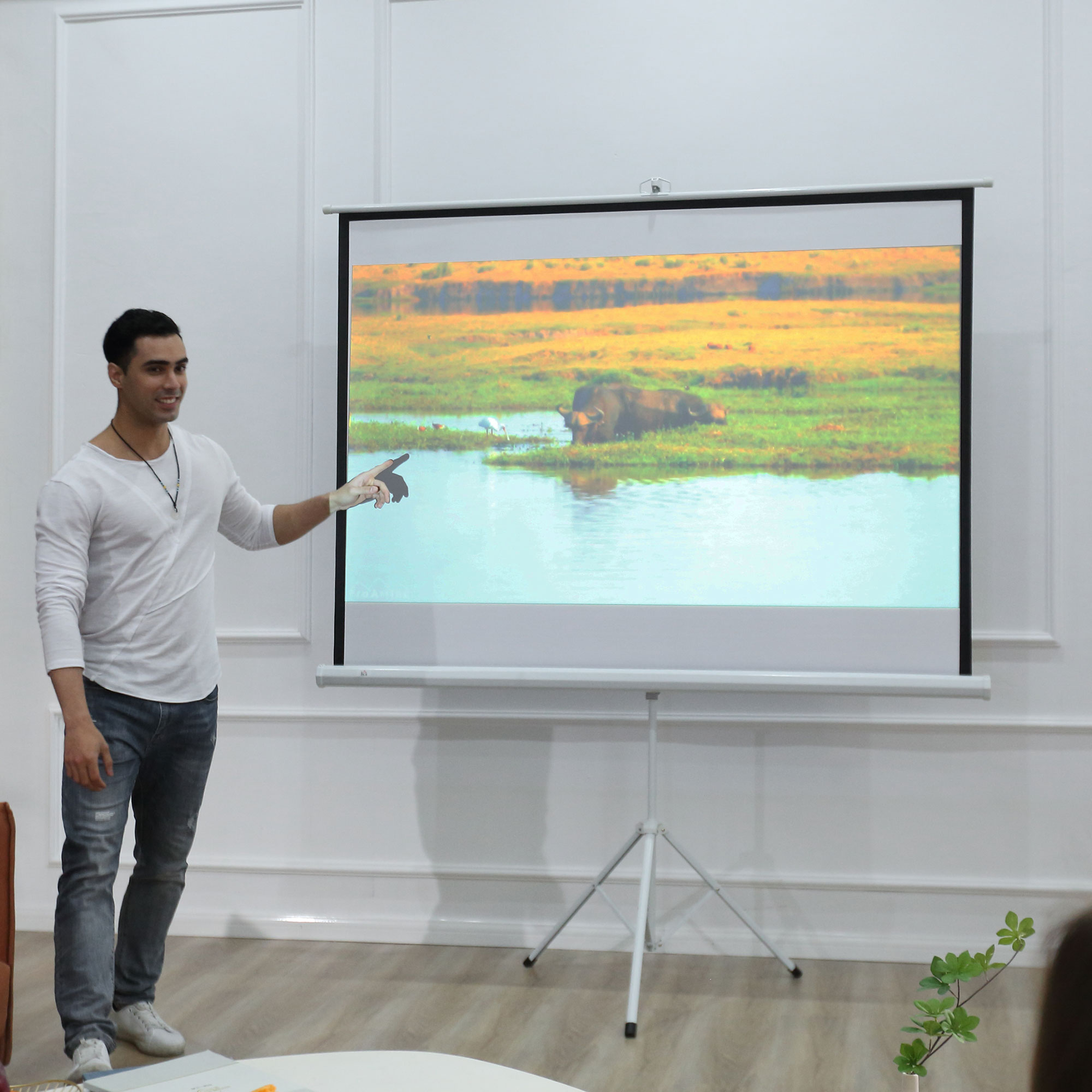 Projektionsleinwand im 4:3-Format, Kinoleinwand, Präsentationsfläche für Zuhause oder Büro, Weiß