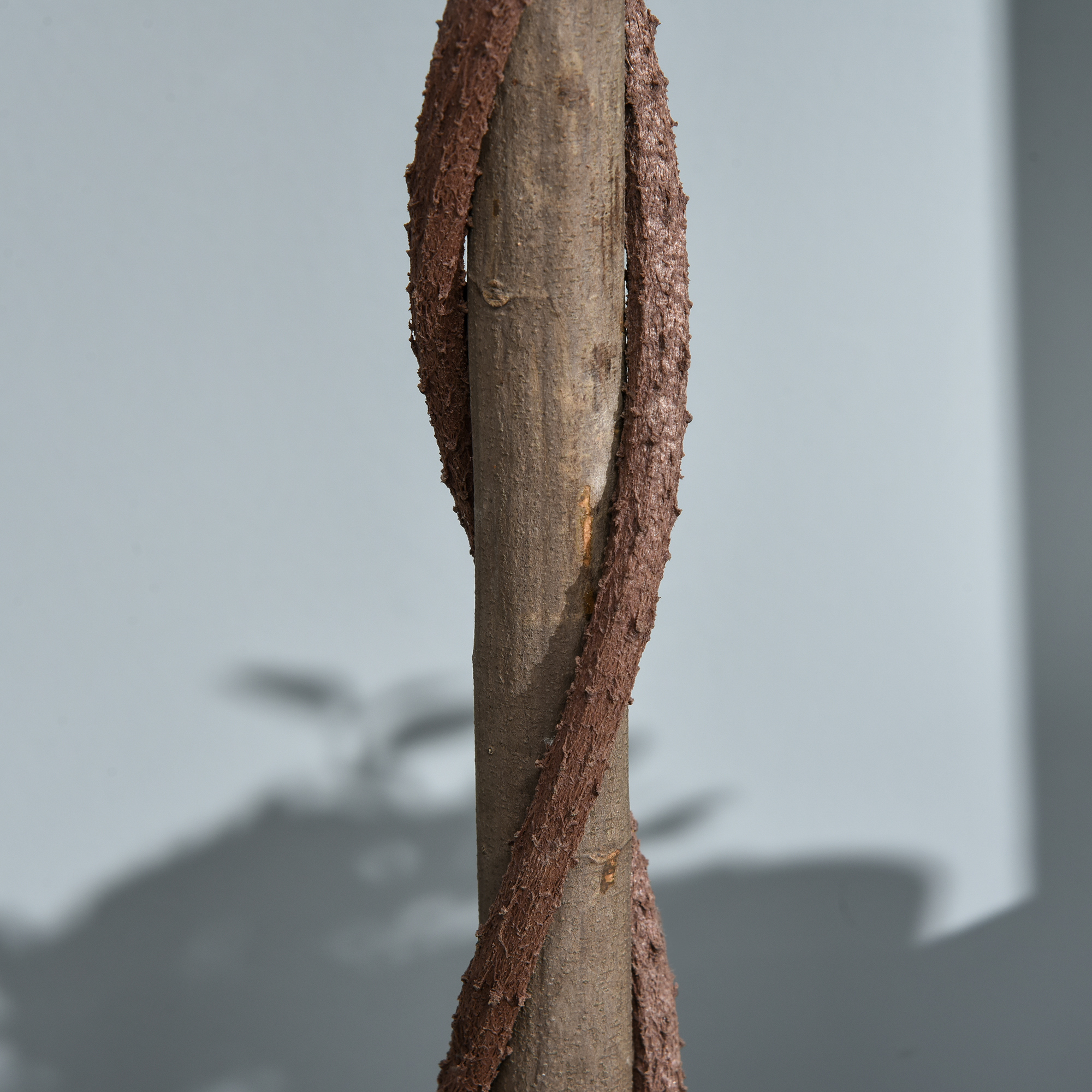 2er-Set künstlicher Lorbeerbaum, 120 cm, Kunstpflanzen im Zementtopf, Kunststoff-Pflanzen für drinnen und draußen, Grün