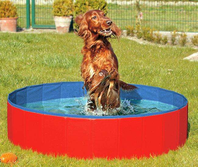 Karlie DOGGY POOL der Swimmingpool für Hunde - Rot-Blau - 120 cm Karlie DOGGY POOL der Swimmingpool für Hunde - Rot-Blau - 80 cm