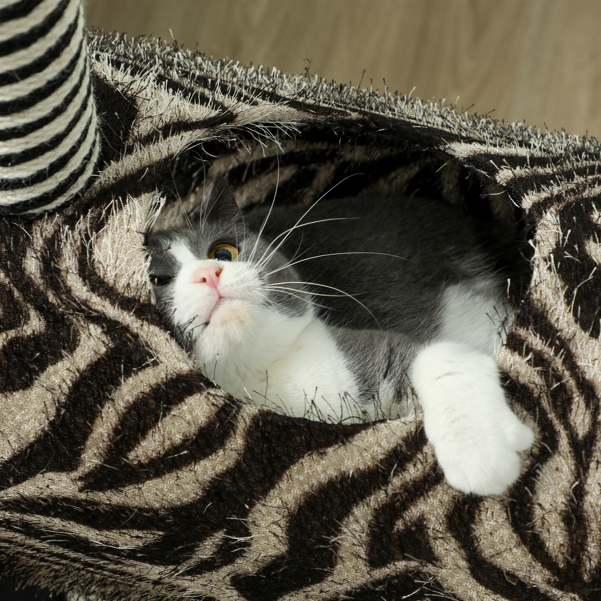 Kratzbaum im Zebra-Design, 1 Katzentunnel, 3 Kratzstämme 48,5 cm x 35 cm x 93 cm, Schwarz + Weiß