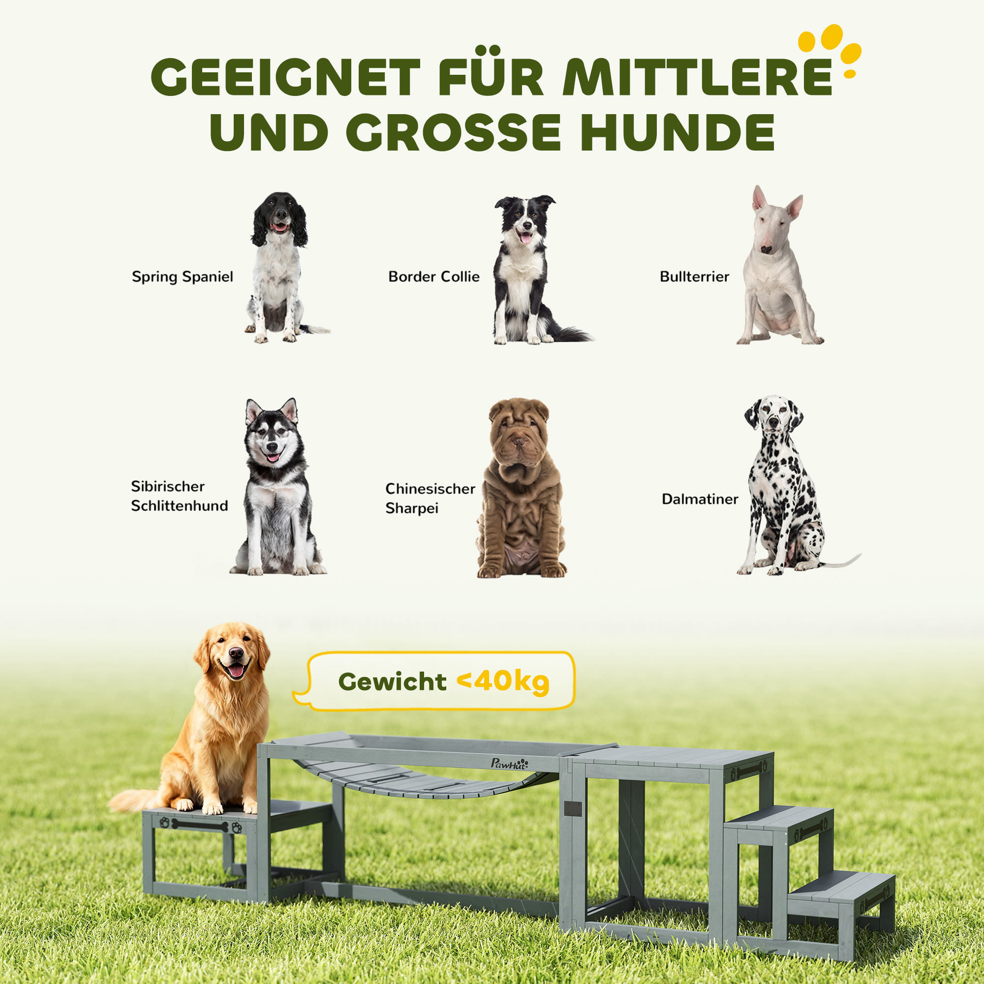 Agility Set Hunde 3-teiliges Set Agility-Ausrüstung mit Brücke, Treppe, Plattform, Tannenholz, 117 x 50 x 56 cm, Grau