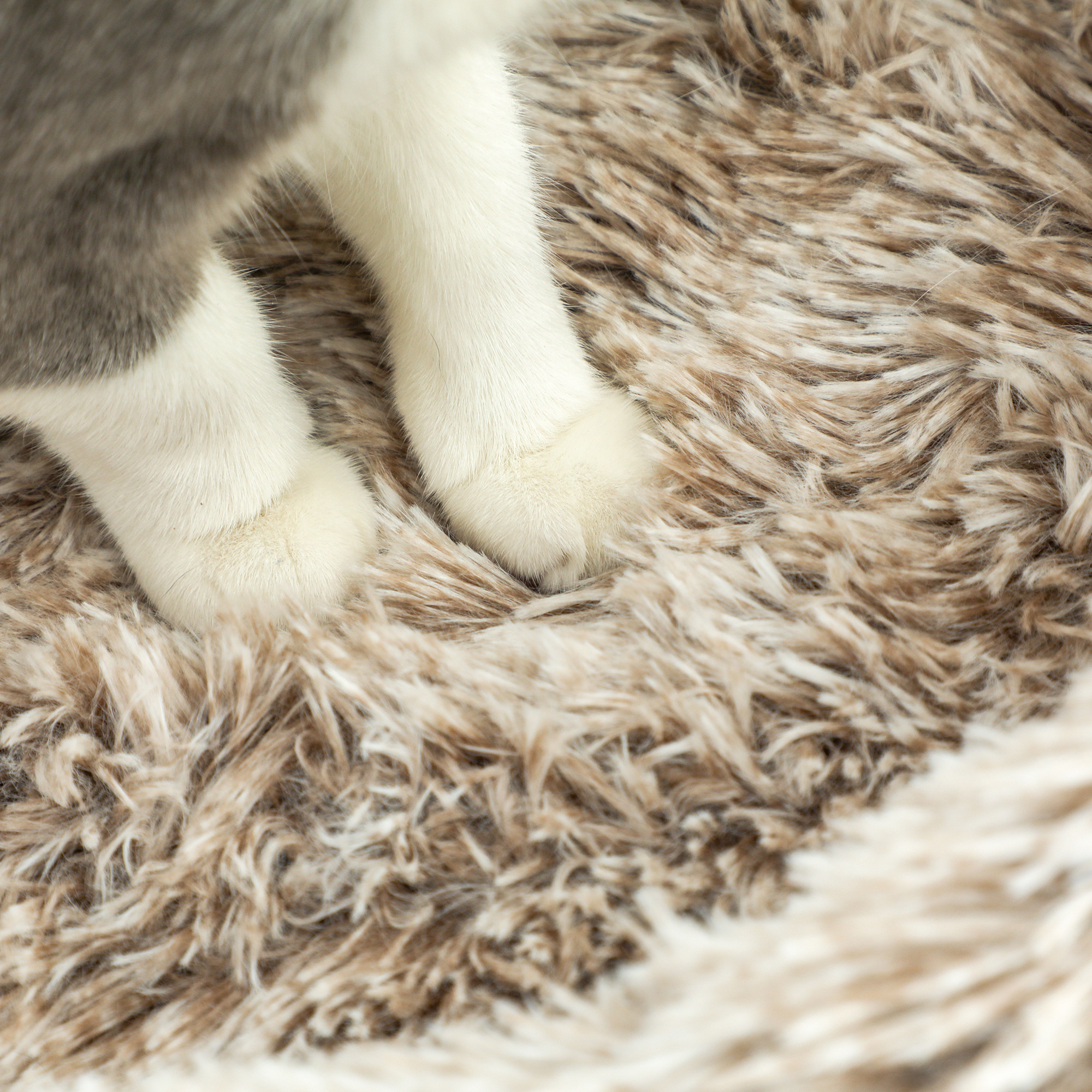 Katzenbaum, 87 cm, Katzenturm mit dickem Kratzpfosten, Plüschbett, für den Innenbereich, trägt bis zu 6 kg, Braun