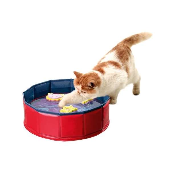 Karlie Kitty Pool Karlie Kitty Pool
