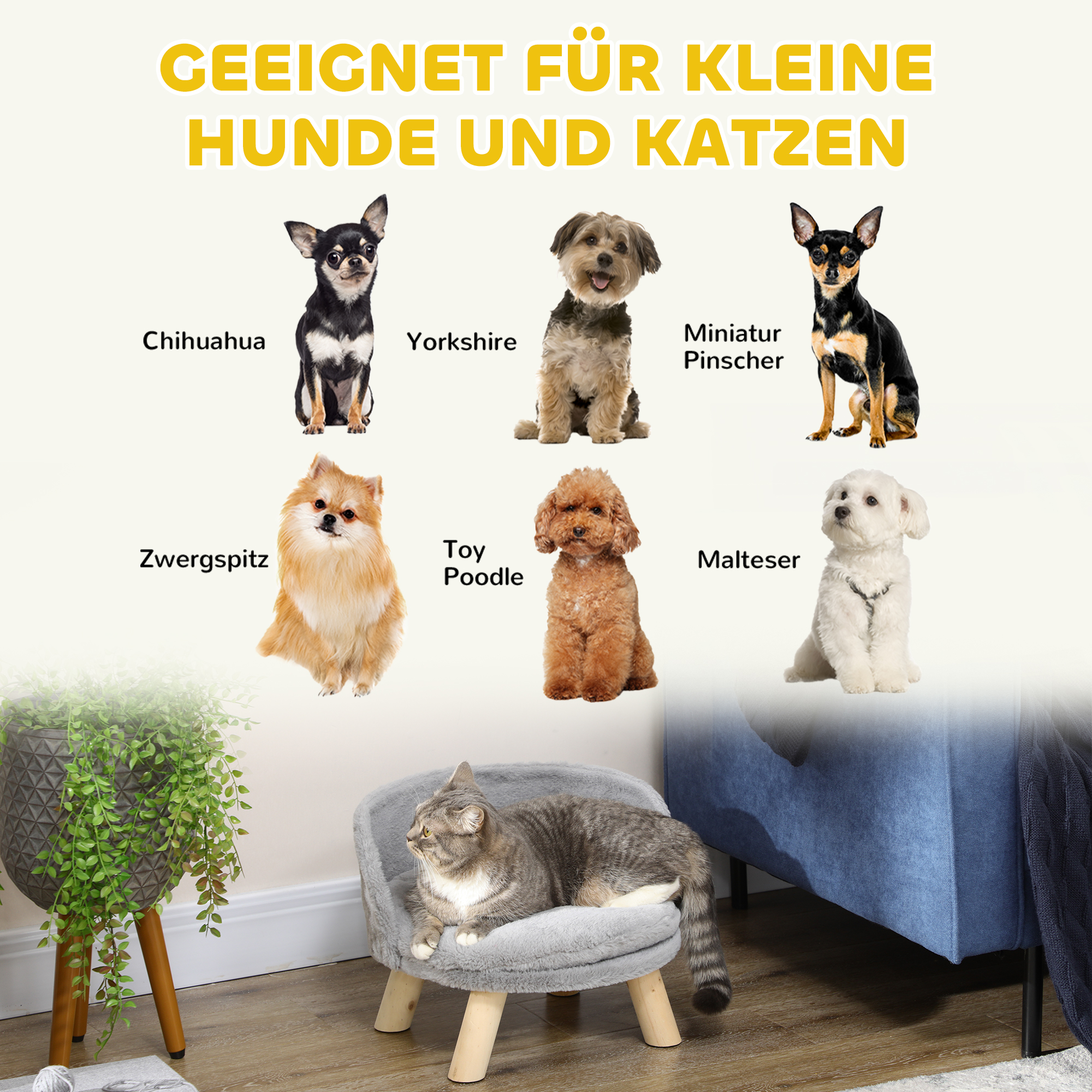 Tierbett für Hunde und Katzen, weiches & waschbares Kissen, Schutzrand, 40,5 x 40,5 x 33 cm