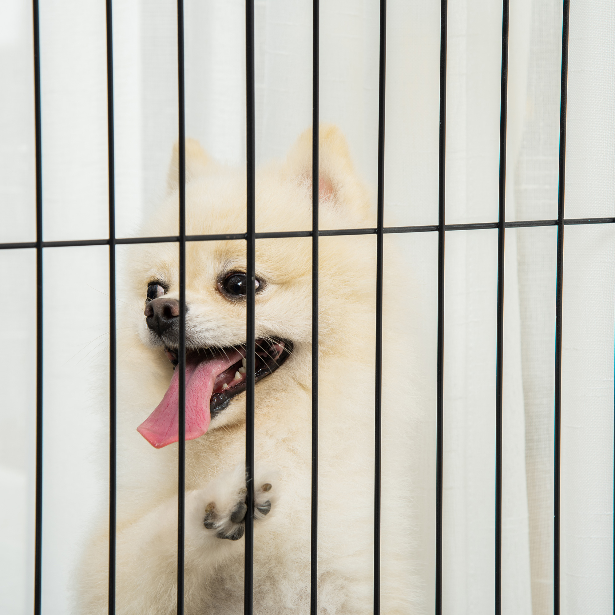 Türschutzgitter Holz Absperrgitter für Hunde Schutzgitter Hundegitter Sicherheitstür Bidirektionales Falten Stahl Weiß 305 x 35,5 x 82 cm