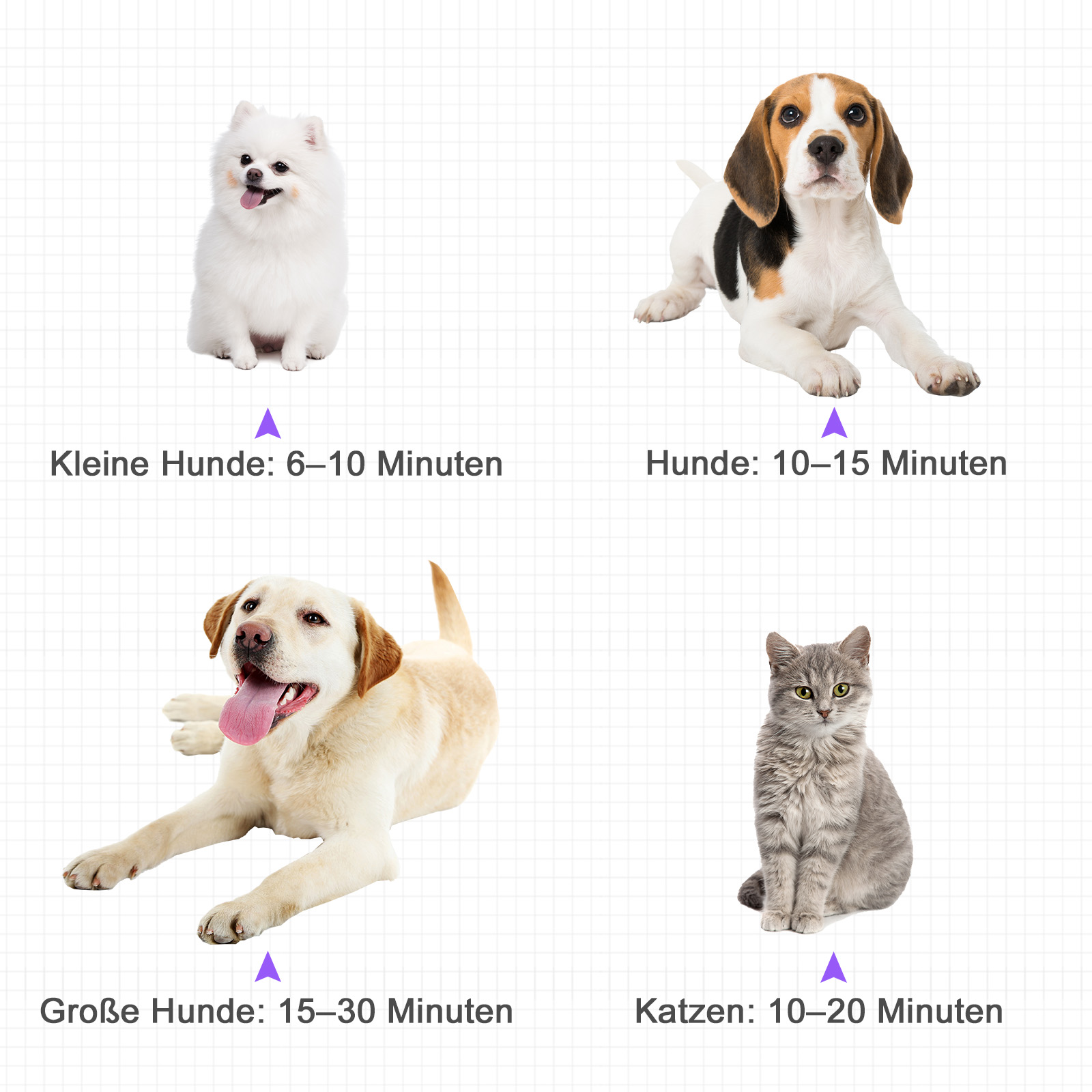 Profi Hundefön Tierfön Pet Dryer Flüsterfön Hundetrockner 2800W Metall Schwarz 40 x 16 x 20 cm