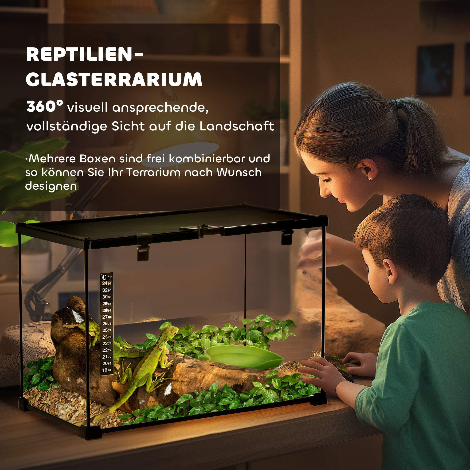 Terrarium für Reptilien Reptile Fütterungsbox Glasterrarium Amphibien Spinnentiere mit Thermometer Reptilienzuchtbox Metall Schwarz 50 x 30 x 35 cm