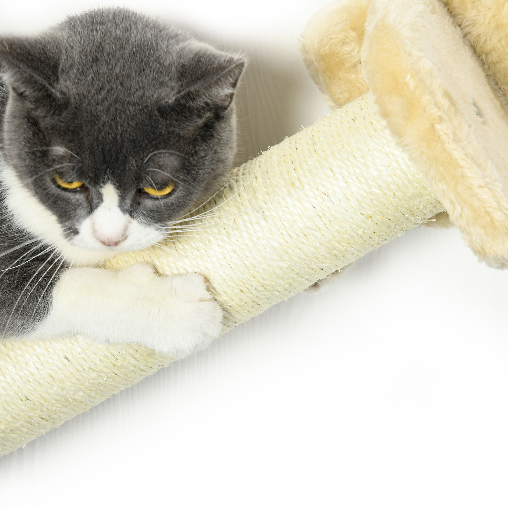 Katzentreppe, 5-teiliges Set, 2 Kratzstämme, 2 Plattformen mit Plüschbezug, Hängematte, beige