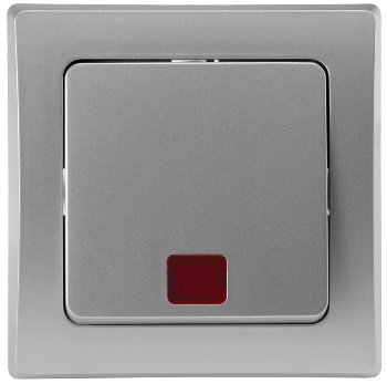 DELPHI Kontroll-Schalter mit Lämpchen, 250V~/ 10A, UP, silber
