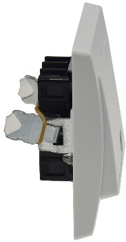 DELPHI Taster mit Namensschild, 0-250V~/ 10A, inkl. Rahmen, UP, weiß