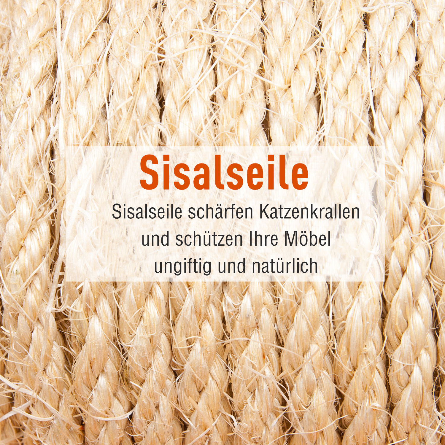 Kratzbaum mit Katzenhöhle Leiter  XXL Katzenbaum Kletterbaum Kletterbaum für Katzen Mehrstufiges Multiaktivitätszentrum Plüsch Grau 49 x 49 x 173 cm