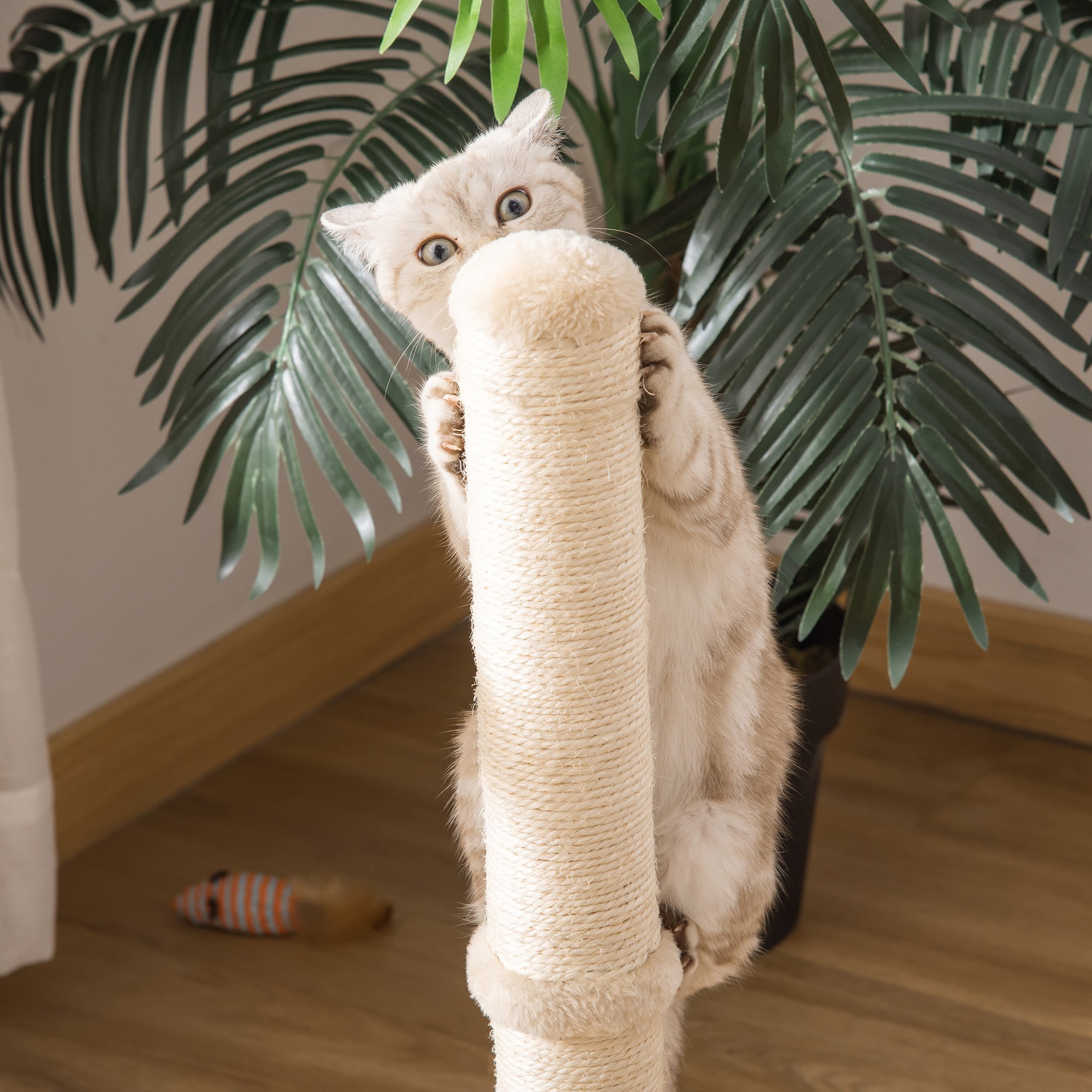Kratzstamm für Katzen Kratzsäule aus Sisal stabiler Kratzbaum Kratz Spielzeug Katze mit Ball 60 cm Spanplatte Sisal Beige+Eiche 34 x 34 x 60 cm